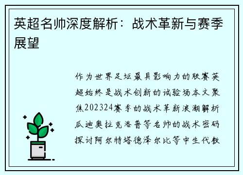 英超名帅深度解析：战术革新与赛季展望