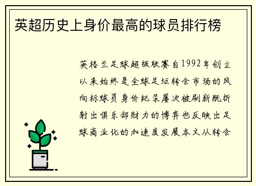 英超历史上身价最高的球员排行榜